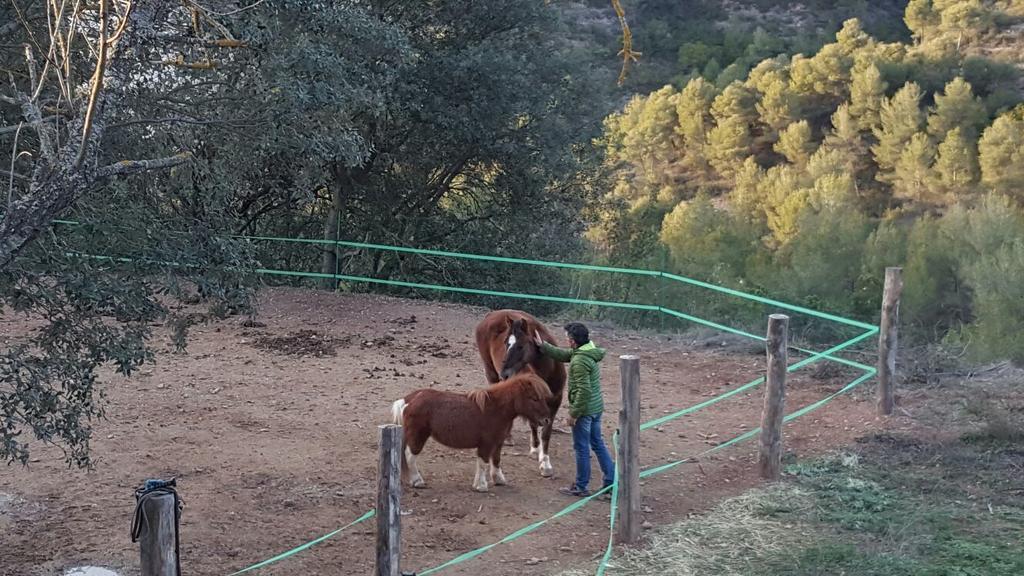 Masia Casajoana Rural Rellinars エクステリア 写真