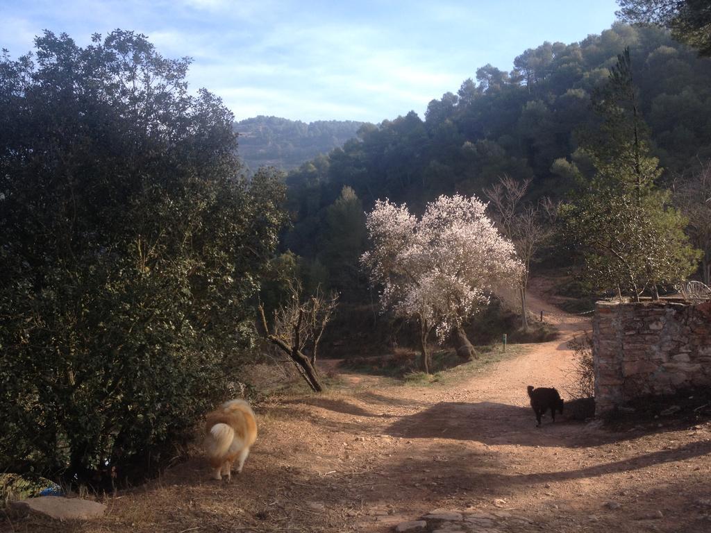 Masia Casajoana Rural Rellinars エクステリア 写真