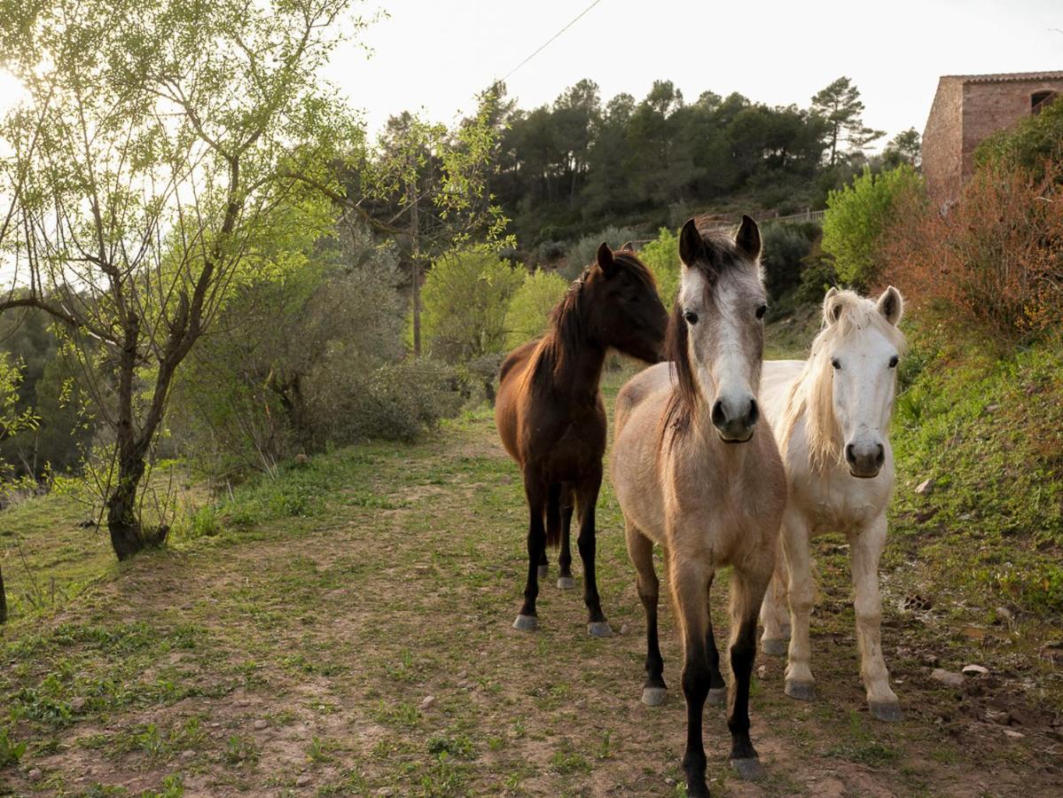 Masia Casajoana Rural Rellinars エクステリア 写真